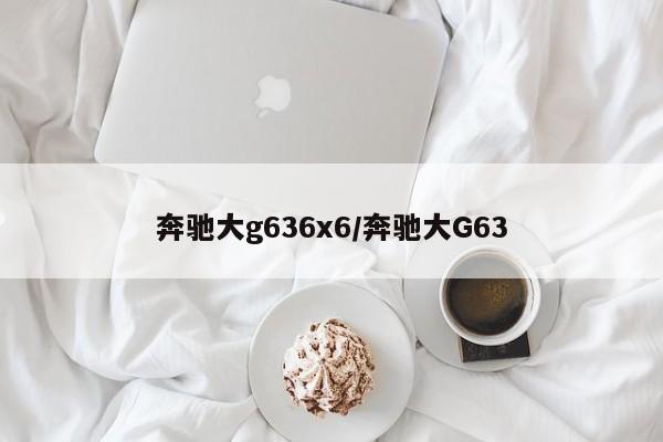 奔驰大g636x6/奔驰大G63